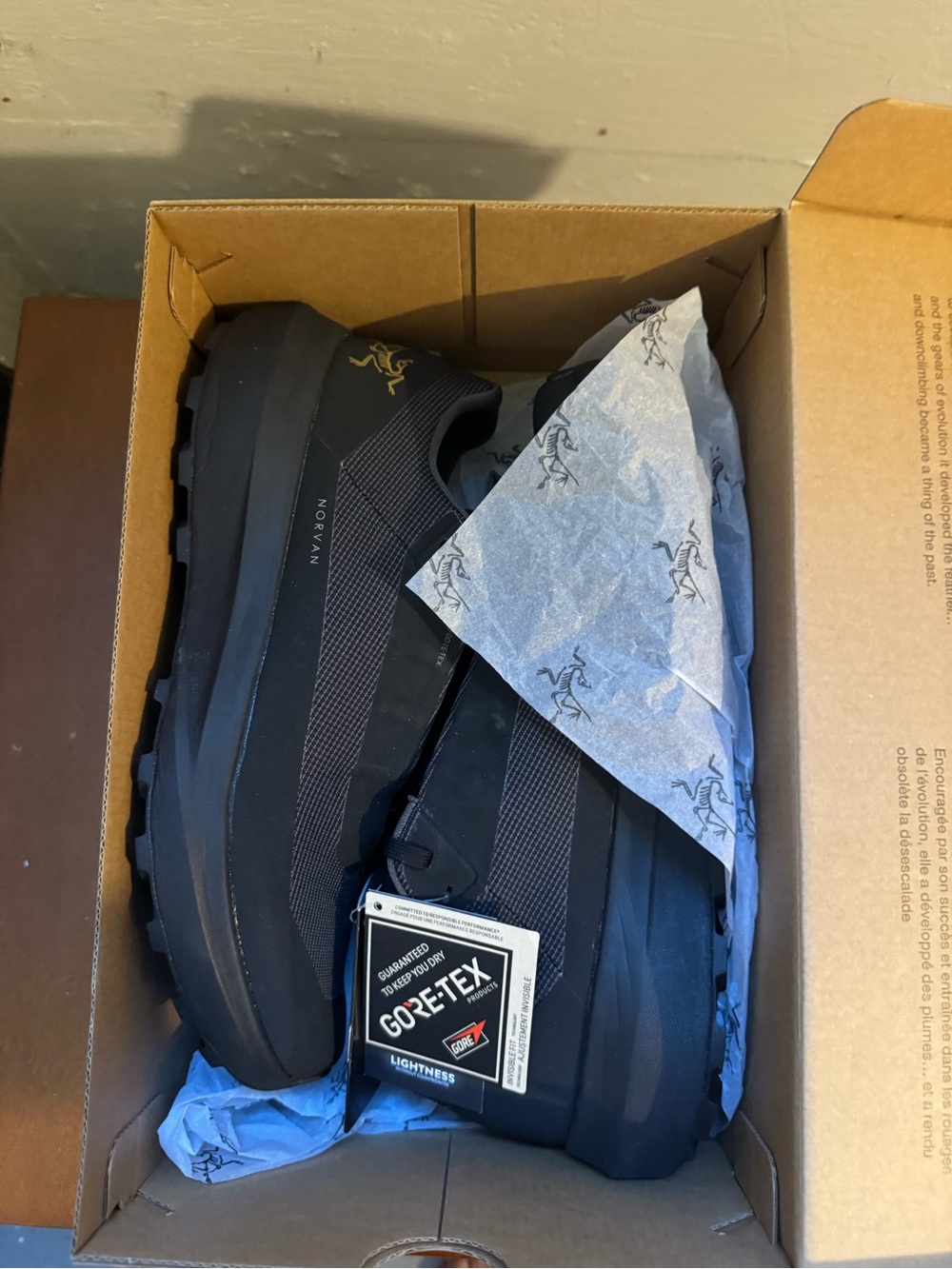 Arc'teryx Black Men's Trail Sneakers